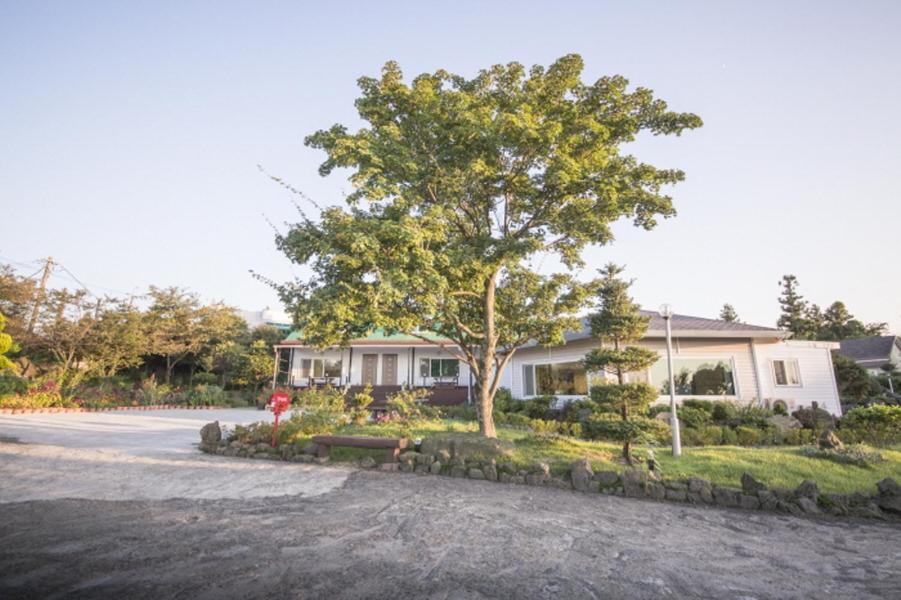 Sunyang Village Pension Jeju Bagian luar foto